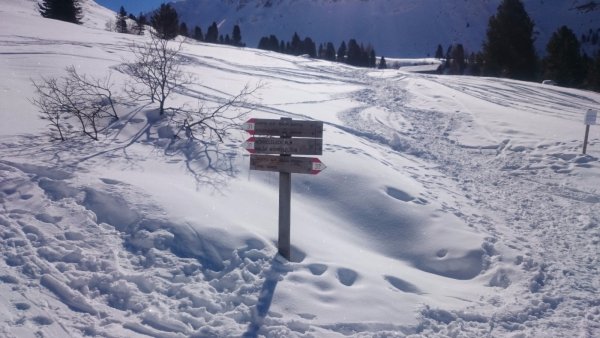 Bivio
con il sentiero n.31 per malga Worndleloch