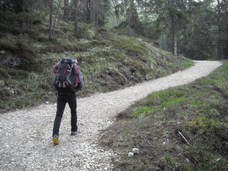 /treks/europe/it/bz/val-gardena/sponda-destra/rifugio-juac/sentiero.jpg