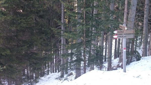 Bivio
per il laghetto Fauler