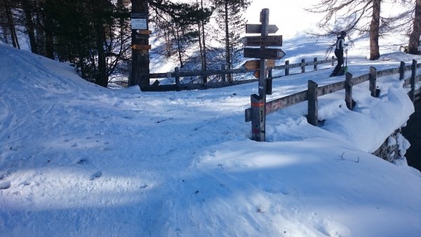 Ponte
nei pressi di malga Brugger