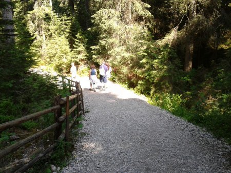 /treks/europe/it/bz/valdega/alta-valdega/lago-di-carezza/2015-07-05-15-50-46/image.jpg