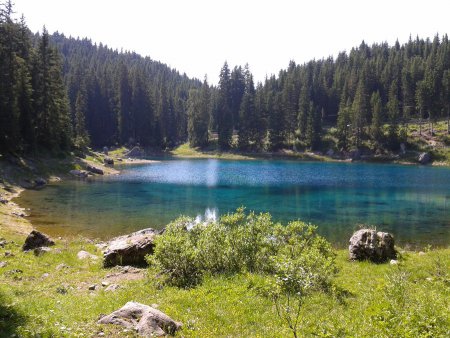 /treks/europe/it/bz/valdega/alta-valdega/lago-di-carezza/2015-07-05-16-00-15/image.jpg