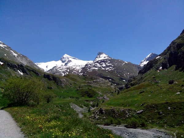 strada per il rifugio Averole