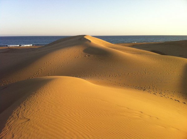 Isole Canarie Duna_costera
