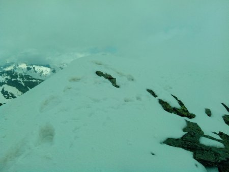 Cima Centrale di Val Loga