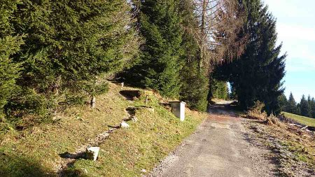 bivio per il rifugio Malga Campo