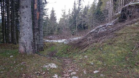 forte Campo Luserna via di ritorno