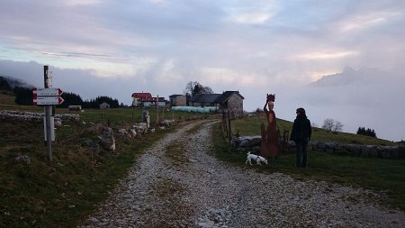 sentiero dell'orso scampati all'incendio