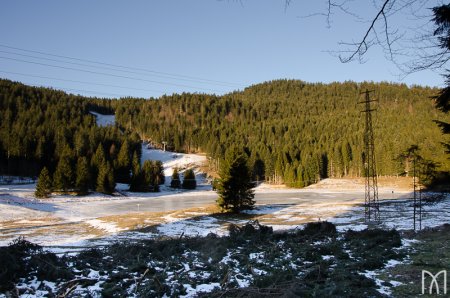 Biotopo Malga Laghetto (1193m) Piccolo lago, dal peculiare ecosistema.