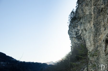 Vista dal Sentiero 217