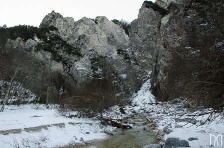 Torrente Centa