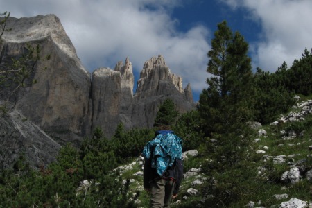 Sentiero fra pini mughi
