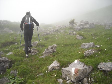 /treks/europe/it/tn/dolomiti-di-brenta/catena-settentrionale/gran-de-formenton/sentiero-3.jpg