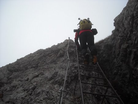 /treks/europe/it/tn/dolomiti-di-brenta/catena-settentrionale/sentiero-costanzi/dscn7081/image.jpg