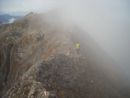 /treks/europe/it/tn/dolomiti-di-brenta/catena-settentrionale/sentiero-costanzi/dscn7099-cresta-verso-il-benon/image.jpg