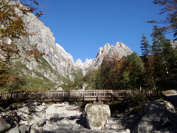 Ponte
