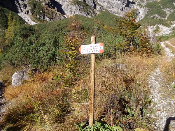 Segnavia
