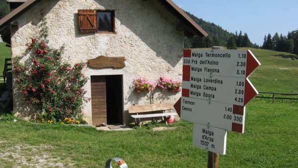 Malga d'Arza
