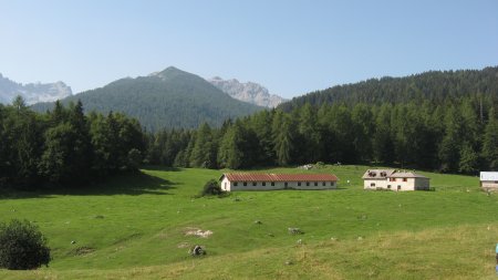 Malga d'Arza
