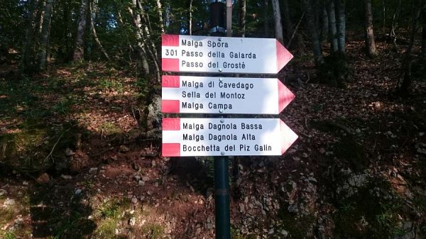 Bivio
per malga Dagnola