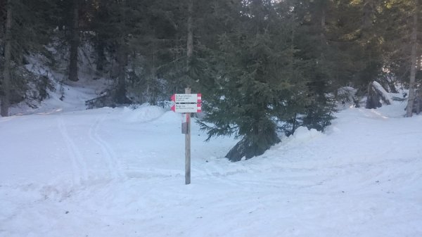 Bivio
per l'ex malga Colbriccon