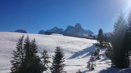 Radura
nei pressi dell'ex malga Colbriccon