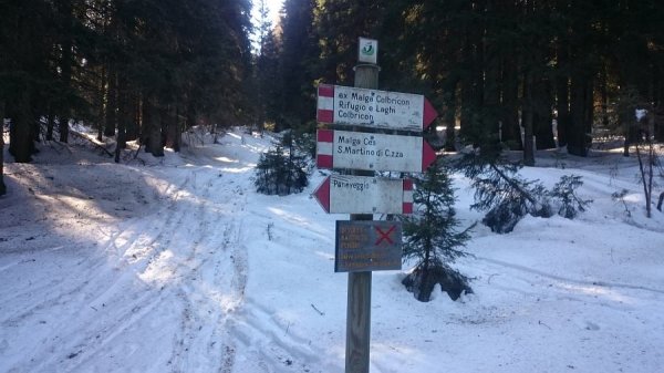 Segnavia
lungo la strada forestale