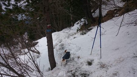 sentiero in direzione di malga Stramaiolo alta