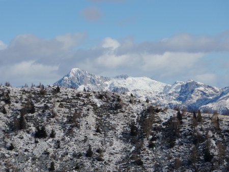 DSC_0106_B
