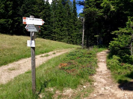 Passo del Campivel
