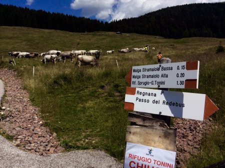 Partenza dal parcheggio (bivio)
