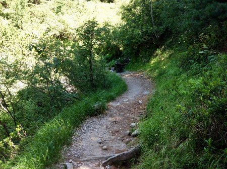 Sentiero per Rifugio Tonini
