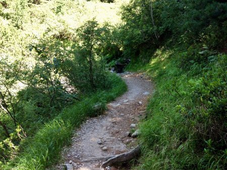 Sentiero per Rifugio Tonini
