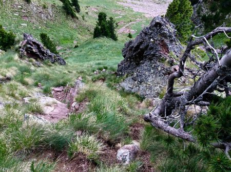 Canale (dall'alto)
