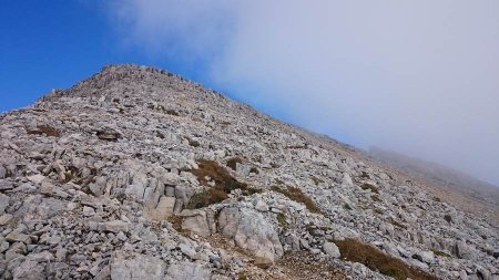 Bivio
per la cima