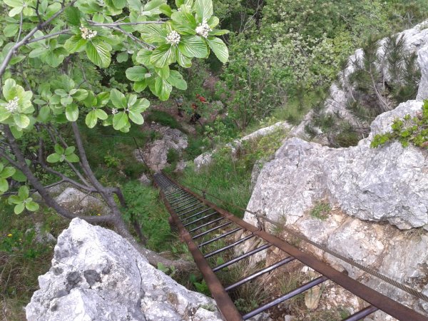 Scaletta
