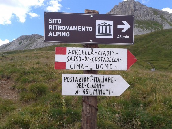 Bivio
