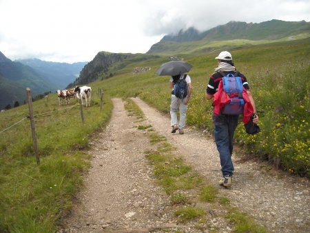 /treks/europe/it/tn/marmolada/fuciade/rifugio-fuciade/sentiero-alt-1.jpg