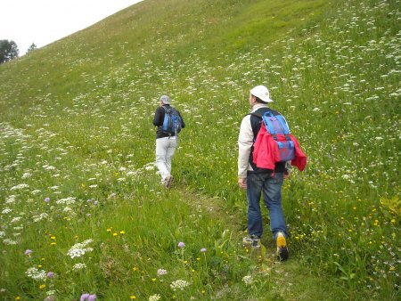 /treks/europe/it/tn/marmolada/fuciade/rifugio-fuciade/sentiero-alt.jpg