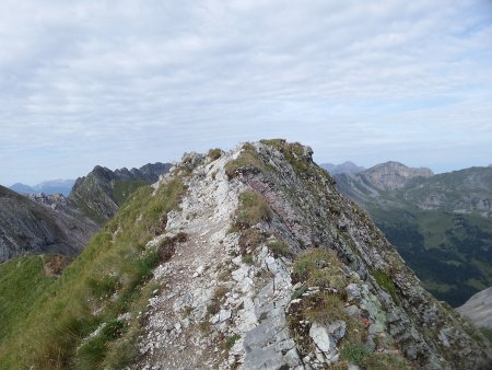 Punta delle Selle