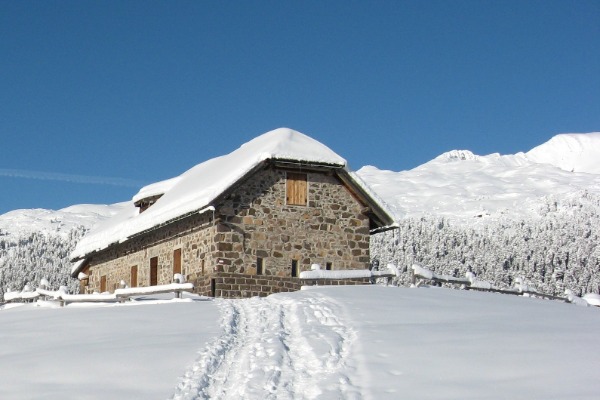 Malga Bocche
