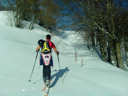 si prosegue nel bosco