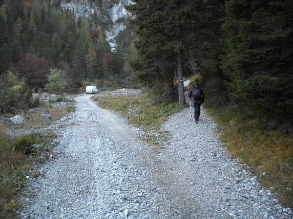 Bivio
