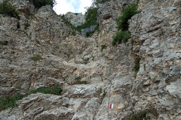 Pojesi
