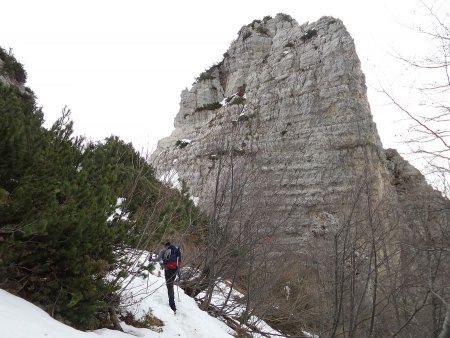 Sella dei Cotorni
