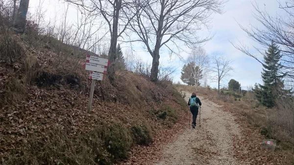Bivio
per il sentiero 119B