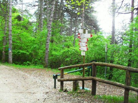 bivio alle Quattro Strade inizio della Strada della Flora