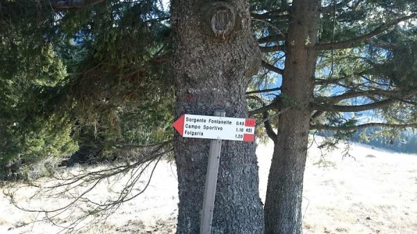 bivio
verso il bosco