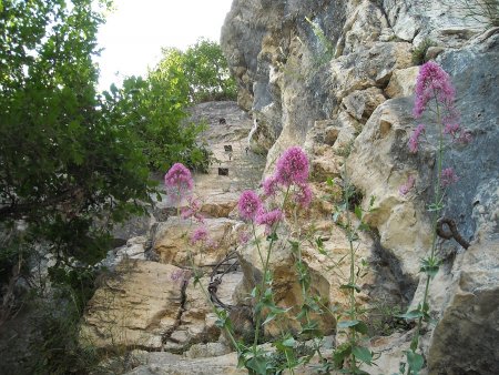 /treks/europe/it/tn/val-d-adige/rovereto/ferrata-marangoni/dscn4772/image.jpg