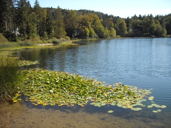 Lago di Cei